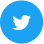 Icon Social Twitter